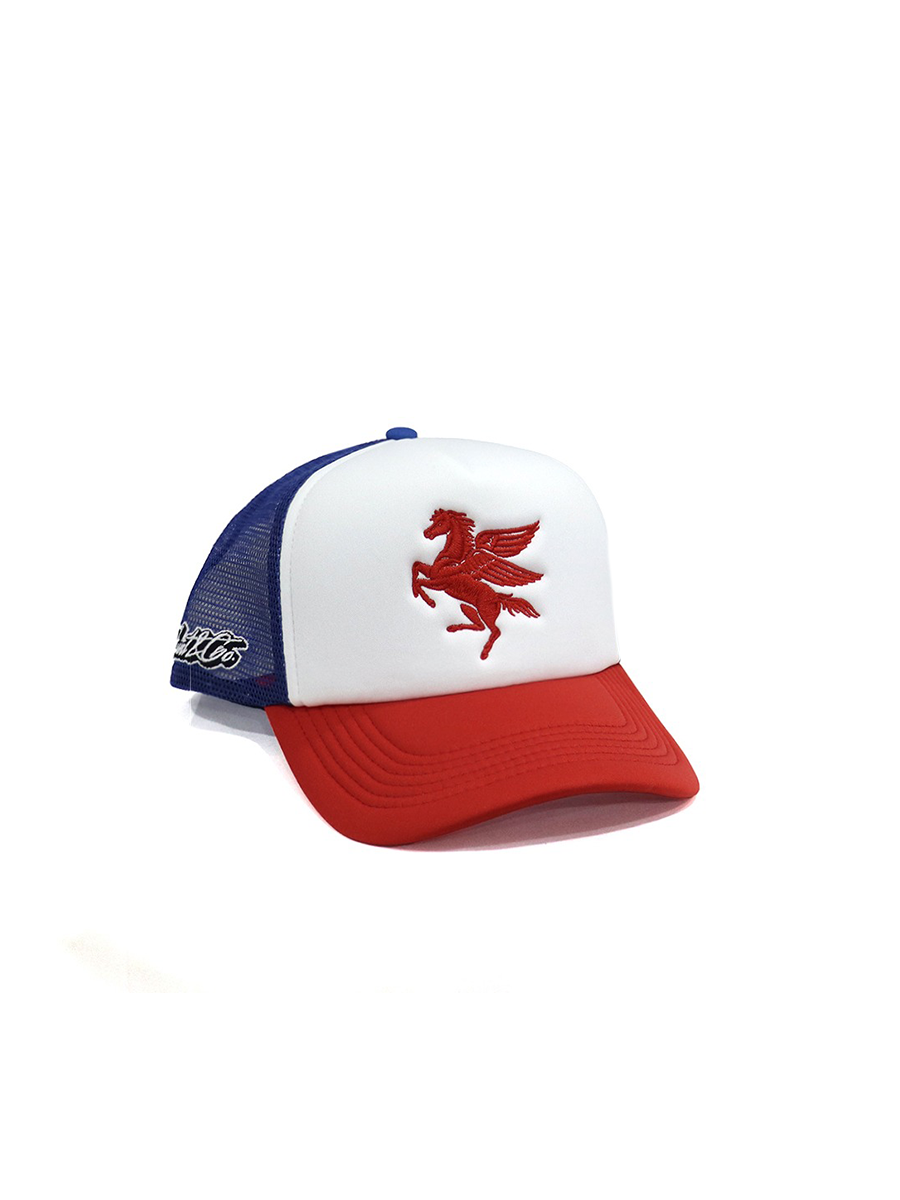 Pegasus Foam Hat